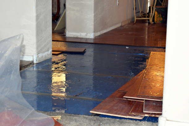 Professional Burst Pipe Cleanup technician working in Kendleton, TX